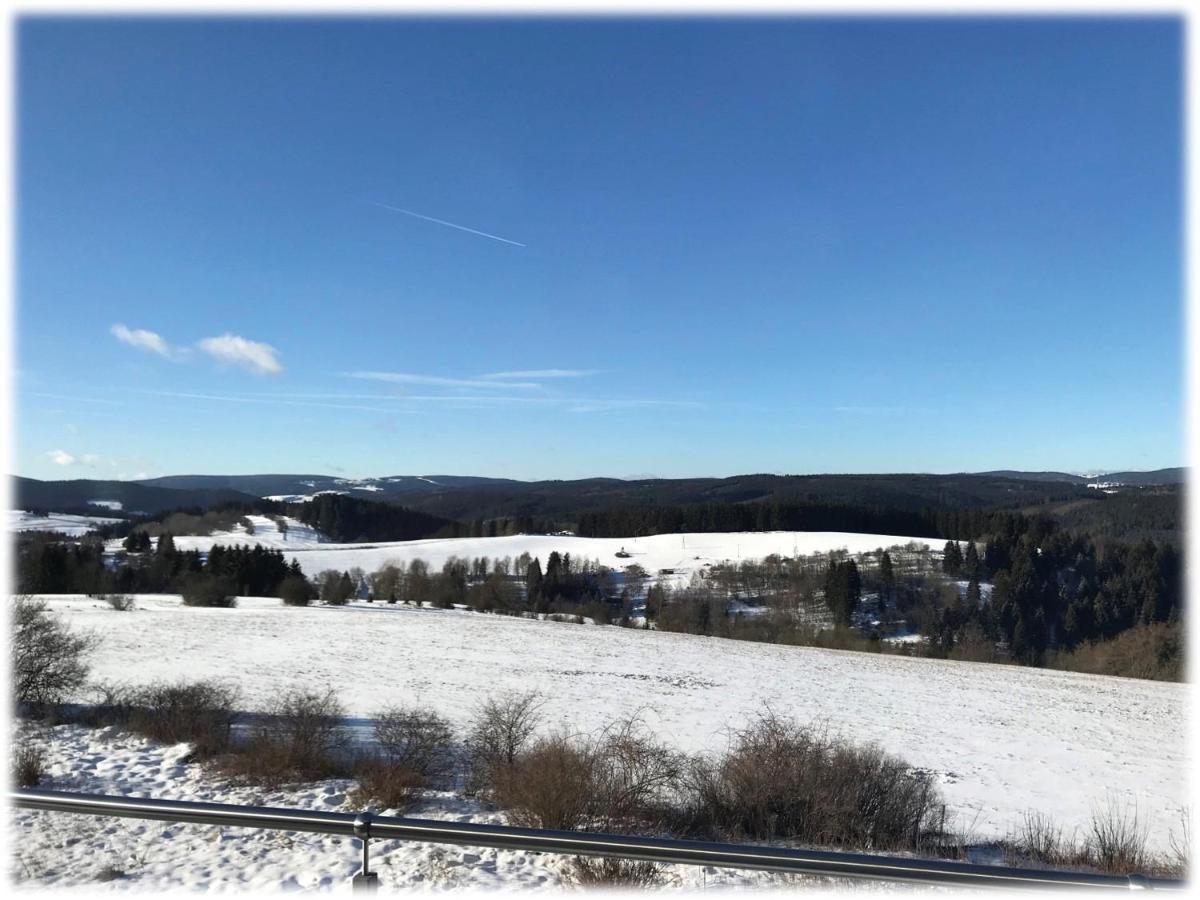 Ferienwohnung Fuchsbau Im Eg Des Ferienhauses Falkenhoehe Schwarzatal ภายนอก รูปภาพ